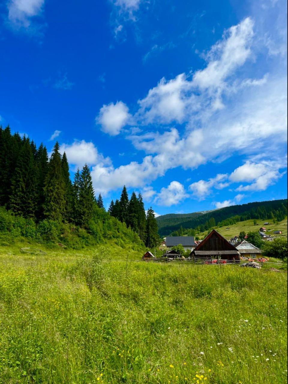 Girskiy Prutets Bukovel Luaran gambar
